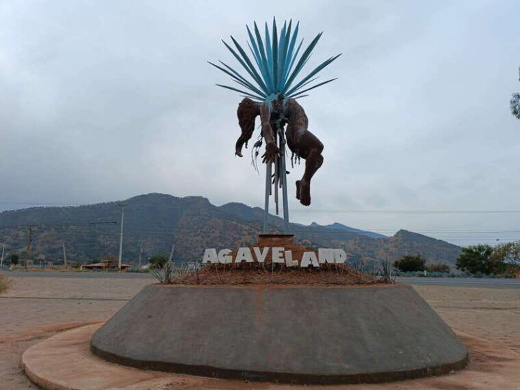 from-guadalajara-tequila-tour-with-tastings