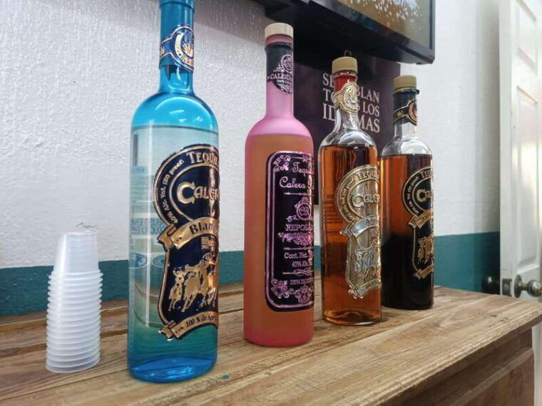 from-guadalajara-to-chapala-lake-funny-and-cultural-tour