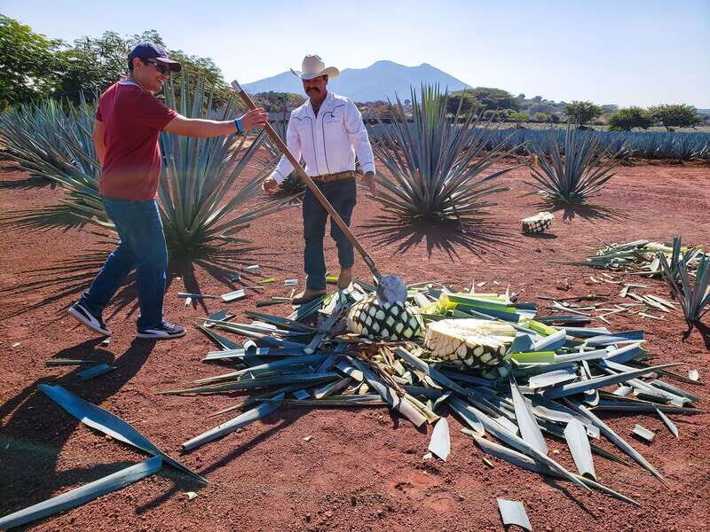 From Guadalajara: Town of Tequila & Jose Cuervo Factory Tour - Discover the Charm of Tequila and the José Cuervo Factory from Guadalajara