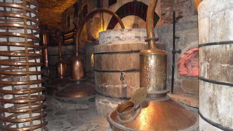 From Guadalajara: Visiting Hacienda Casa herradura. Unique! - What’s Included and Not