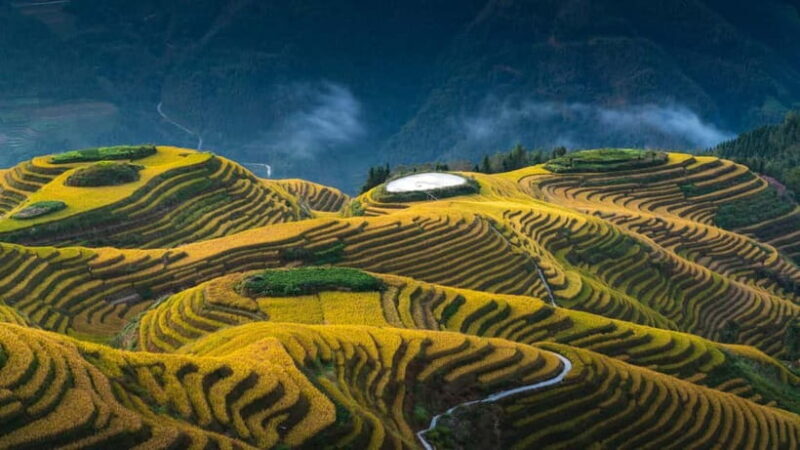 From Guilin: 1-Day Private Longji Rice Terraces Tour - Key Points