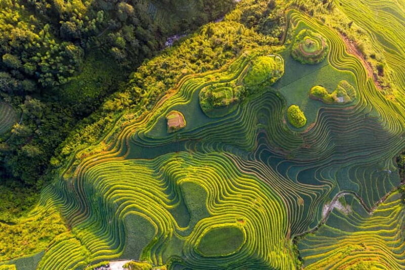 From Guilin: 1-Day Private Longji Rice Terraces Tour - An In-Depth Look at the Longji Rice Terraces Tour