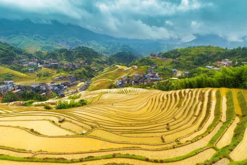 From Guilin: 1-Day Private Longji Rice Terraces Tour - Who Will Love This Tour?