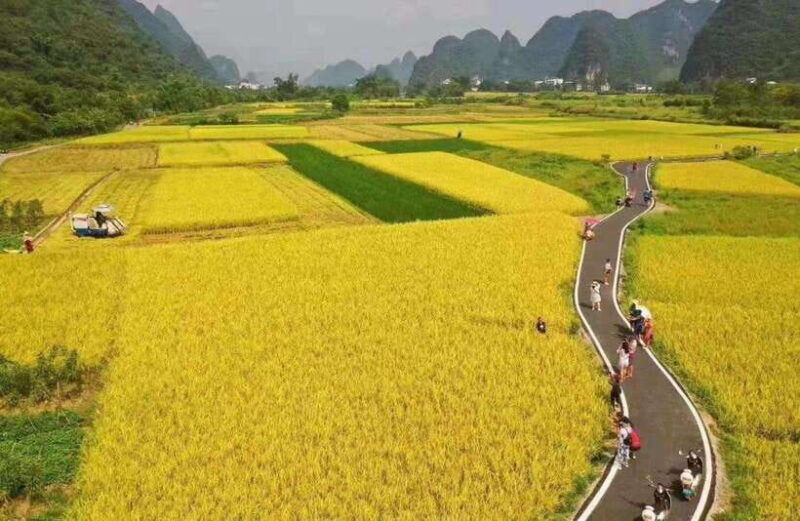 from-guilin-6-day-guilin-yangshuo-and-longsheng-tour