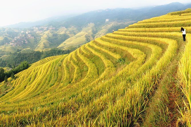 From Guilin/Yangshuo: Longji Rice Terraces and Ethnic Minority Village Day Tour - Key Points