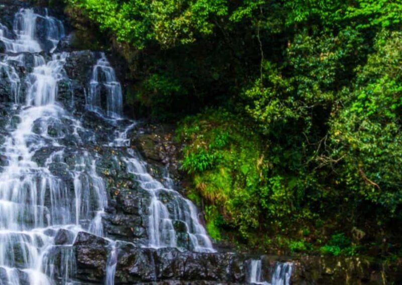 From Guwahati: Shillong Guided Day Tour - Who Is This Tour Best For?