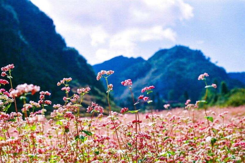from-ha-giang-2-days-1-night-ha-giang-loop-motorbike-tour