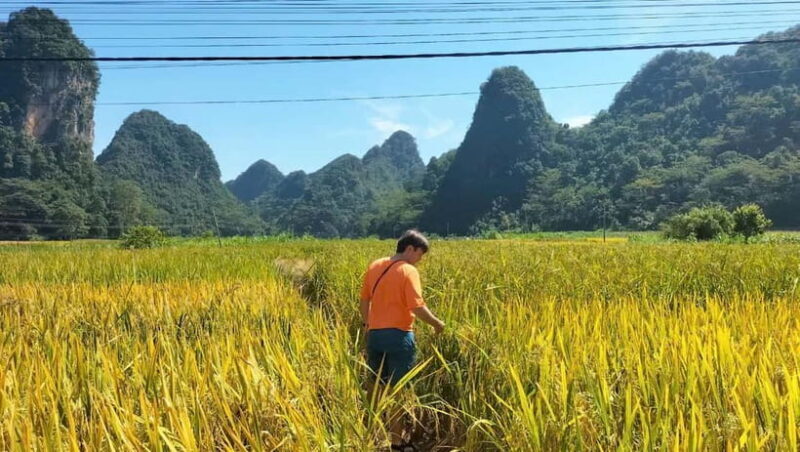 From Ha Noi: 3-Day Cao Bang Loop Tour Visit Local Village - Why This Tour Stands Out