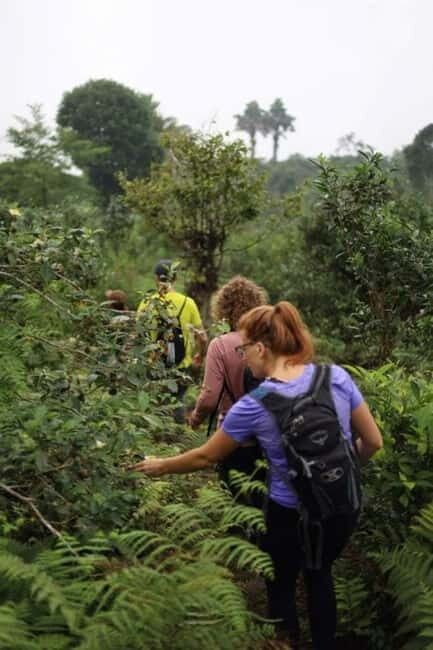 From Ha Noi: Cao Bang Loop Trekking 1 Day Angle Eye Mountain - Additional Information and Policies