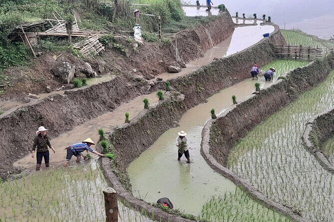 From Ha Noi: Sapa Trekking & Ha Giang Loop motorbike tour 6Days - Who Will Love This Tour?