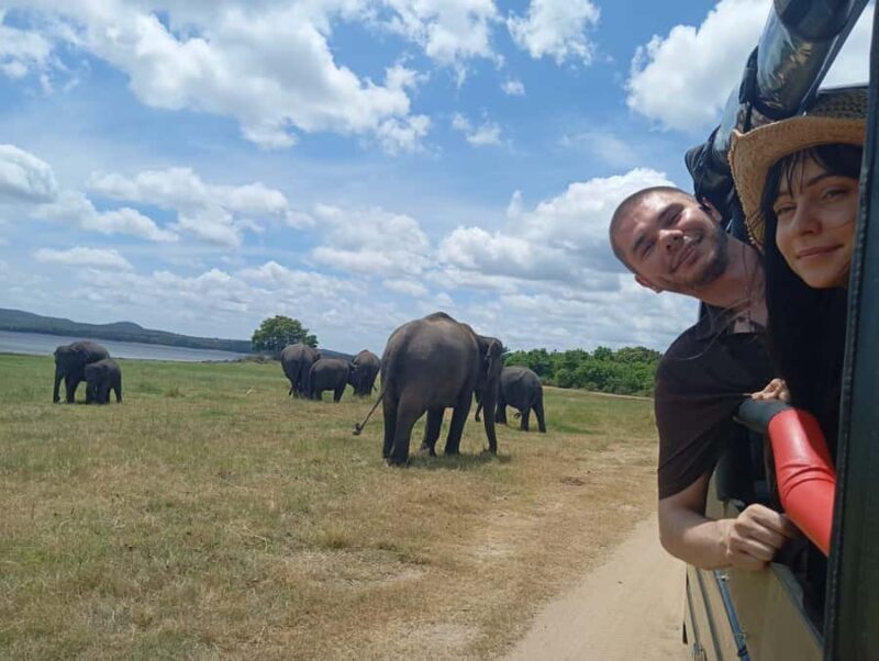 From Habarana: Minneriya National Park 4x4 Jeep Safari - Who Should Book This Safari?