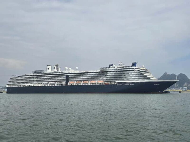 From Halong Cruise Port: 4-Hour Boat Tour of Ha Long Bay - Who Will Love This Tour?