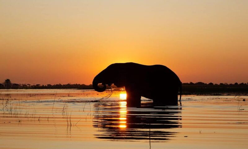 from-hambantota-lunugamvehera-national-park-wild-safari