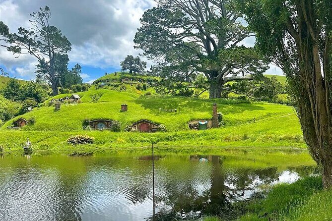 From Hamilton Hobbiton Waitomo Glowworm Caves 1 Day Private Tour - Who Is This Tour Best Suited For?