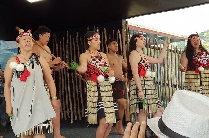 From Hamilton: Living Maori Village, Haka Dance and Blue Springs - Who Would Love This Tour?