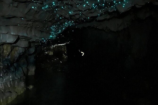 From Hamilton: Waitomo Glowworm & Cave Explorer Small Group Tour - Waitomo Glowworm Caves: The Heart of the Tour