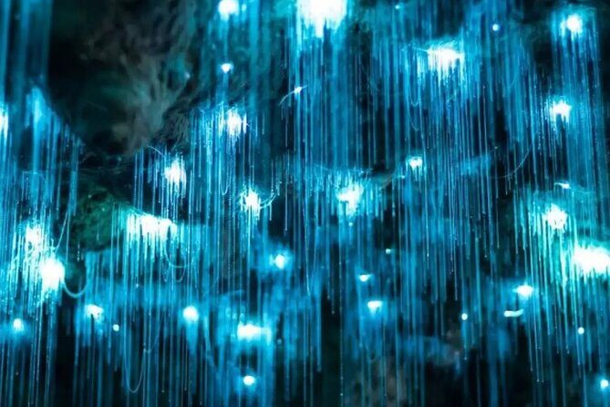From Hamilton: Waitomo Glowworm & Cave Explorer Small Group Tour - Exploring the Caves and Geological Formations