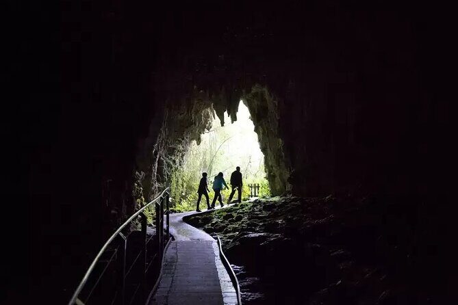 From Hamilton: Waitomo Glowworm & Cave Explorer Small Group Tour - Lunch Stop in Otorohanga