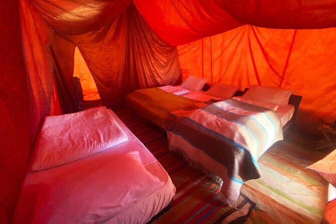From Hammamet: Sahara Desert Overnight Camping - Who Will Love This Tour?