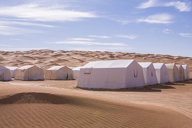 From Hammamet: Sahara Desert Overnight Camping - Final Thoughts