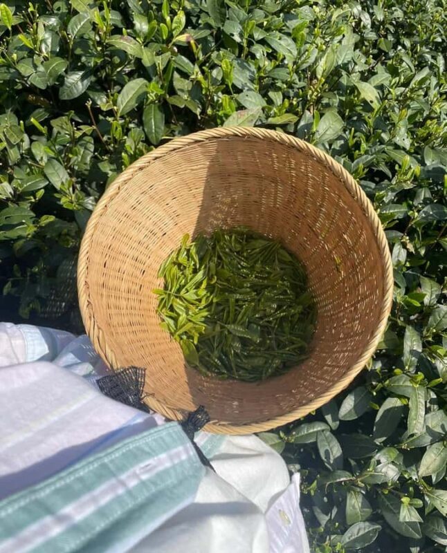 From Hangzhou: Longwu Tea Village, Longmen Town & Dam Tour - The Overall Value