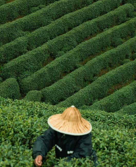 From Hangzhou: Longwu Tea Village, Longmen Town & Dam Tour - Introduction