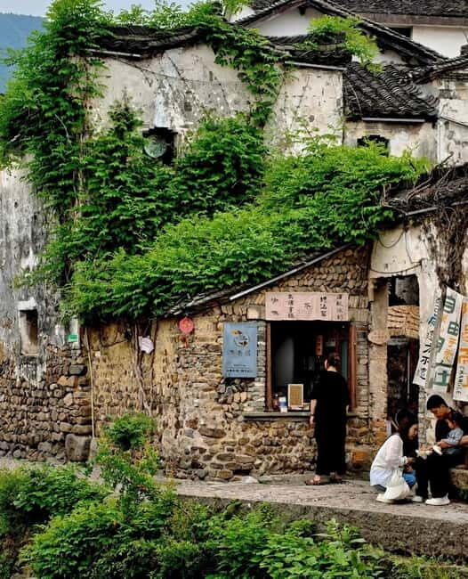 From Hangzhou: Longwu Tea Village, Longmen Town & Dam Tour - Who should consider this tour?