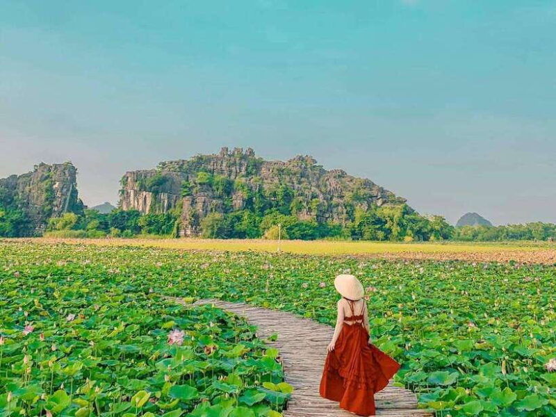 from-hanoi-1-day-tour-ninh-binh-hoa-lu-trang-an-hang-mua