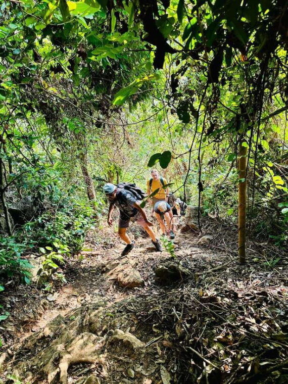 from-hanoi-2-day-adventure-cat-ba-national-park-lan-ha-bay