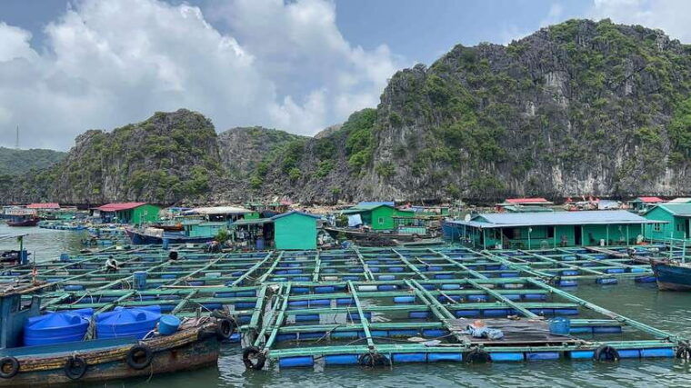 from-hanoi-2-day-ha-long-bay-3-star-cruise-ship-tour