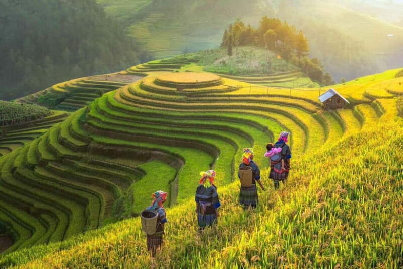 From Hanoi: 2-Day Luxury Sapa Trekking Tour with Homestay - The Real Deal: An In-Depth Look at the 2-Day Sapa Tour