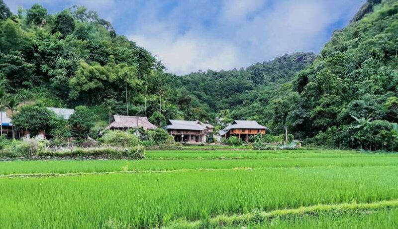 from-hanoi-2-day-mai-chau-puluong-adventure