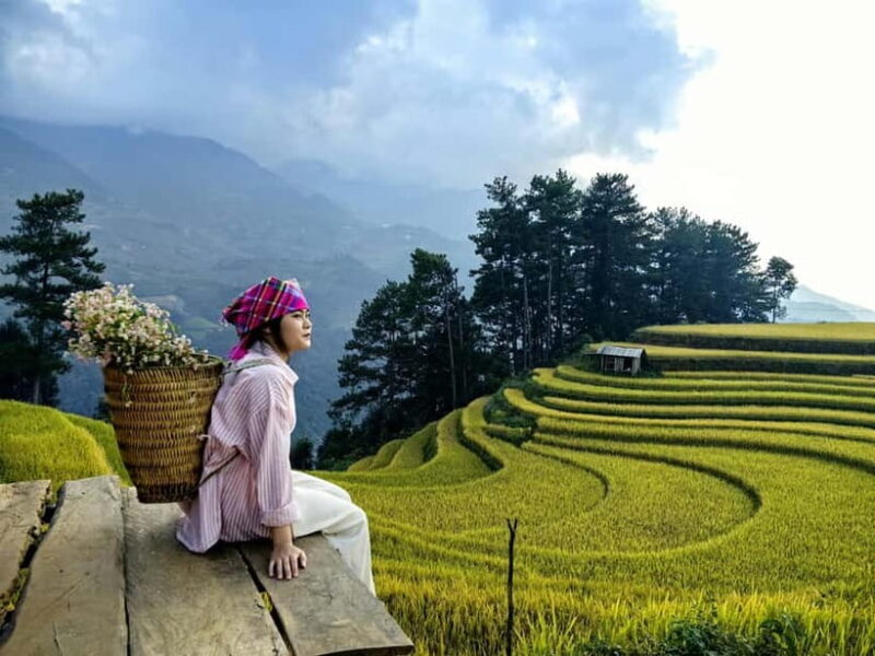 From Hanoi: 2-Day Mu Cang Chai and Khau Pha Pass Tour - An In-Depth Look at the 2-Day Mu Cang Chai and Khau Pha Pass Tour