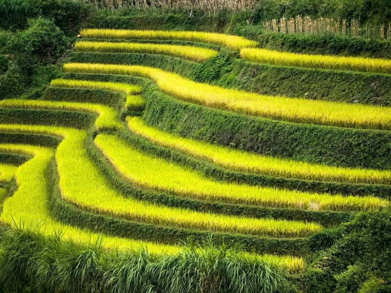 From Hanoi: 2-Day Mu Cang Chai and Khau Pha Pass Tour - Who This Tour is Perfect For