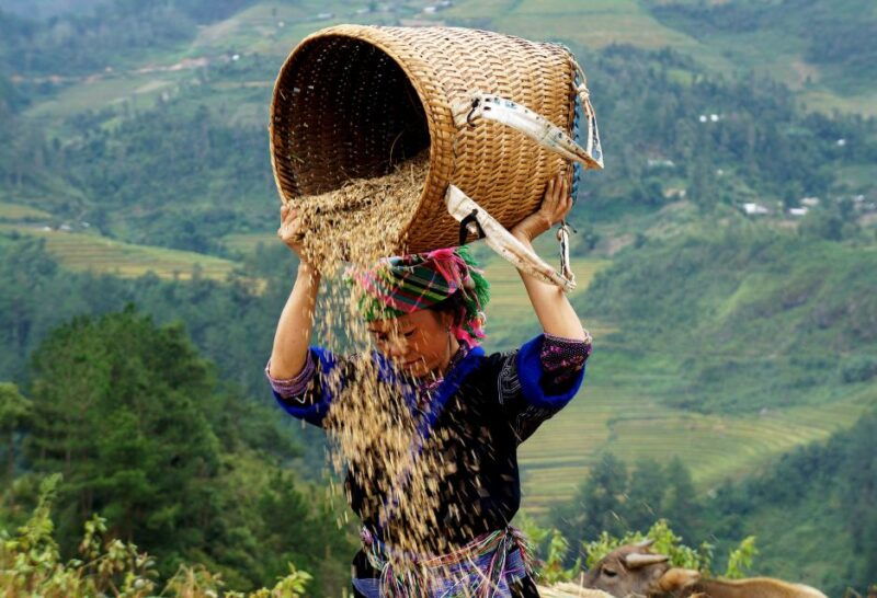 from-hanoi-2-day-sapa-cultural-exchange-tour-with-homestay