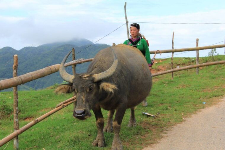 from-hanoi-2-day-sapa-cultural-exchange-tour-with-homestay