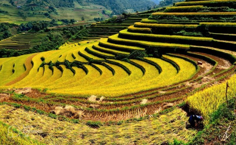 From Hanoi: 2-Day Sapa-Fansipan Peak & Trek & Ha Giang Bus - Things to Consider