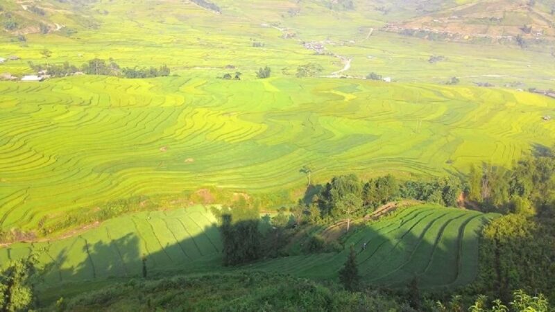 From Hanoi: 2 Day Sapa Trekking To Village & Bungalow, Meals - Transportation, Group Size, and Practicalities