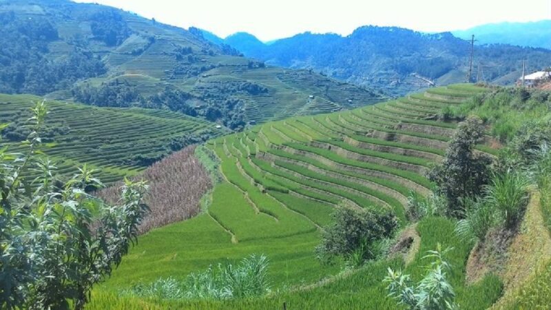 From Hanoi: 2 Day Sapa Trekking To Village & Bungalow, Meals - Who Should Consider This Tour?