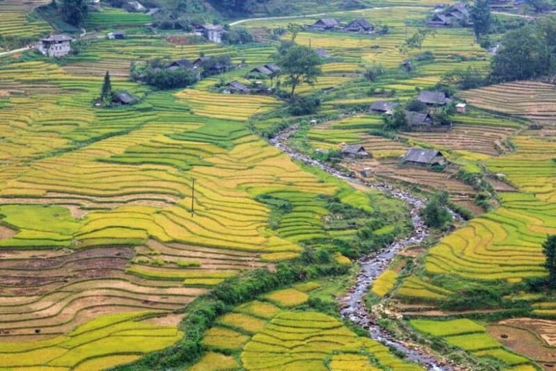 From Hanoi: 2-Days Sapa Trek Lao Chai/Cat Cat, Fansipan Peak - An In-Depth Look at the Tour