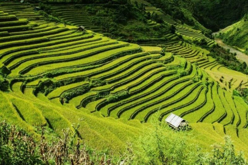 From Hanoi: 2-Days Sapa Trekking Tour Lao Chai and Cat Cat - Considerations & Possible Drawbacks