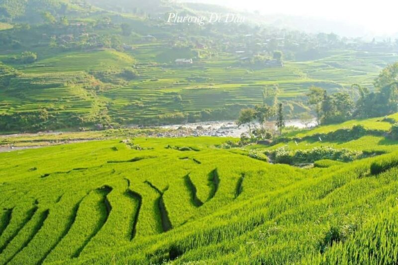 From Hanoi: 2-Days Sapa Trekking Tour Lao Chai and Cat Cat - FAQ