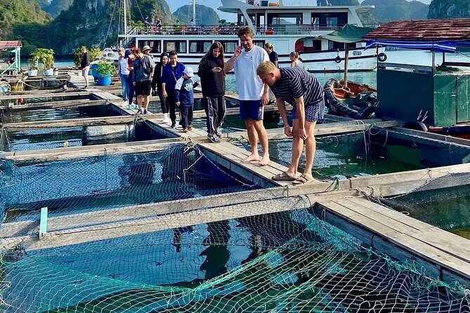 From Hanoi: 2D1N Adventure Cat Ba National Park, Lan Ha Bay - Key Points