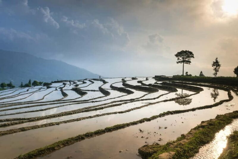 From Hanoi: 3-Day Mu Cang Chai & Chao Khau Village Tour - Day 3: Cultural Encounters and Staying with Local Families