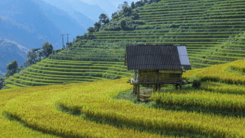 from-hanoi-3-day-sapa-bac-ha-market-trekking-tour