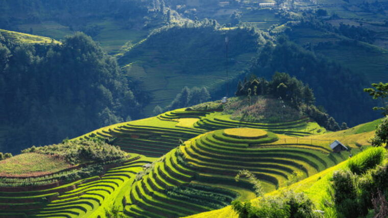 from-hanoi-3-day-sapa-bac-ha-market-trekking-tour
