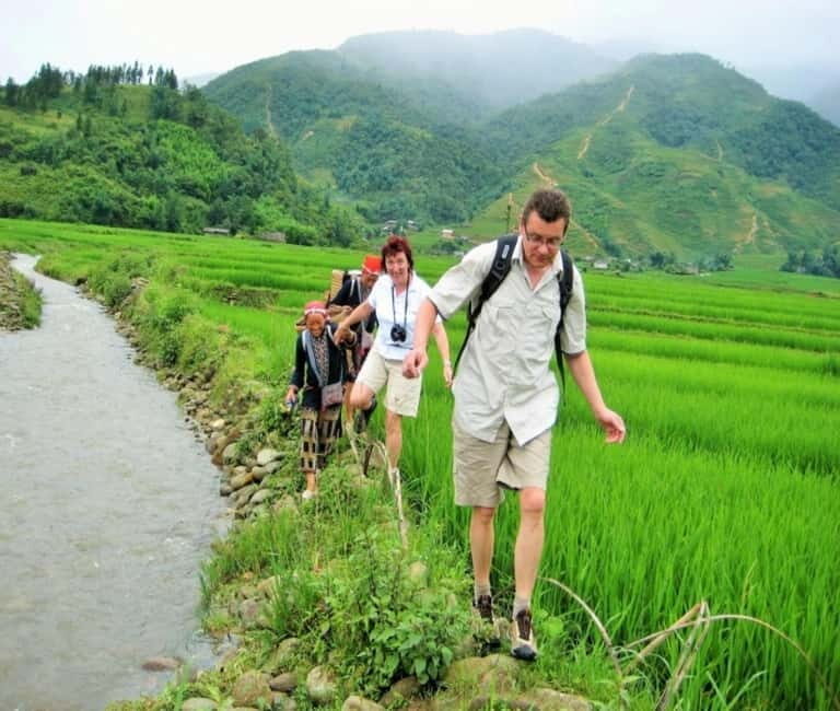 From Hanoi: 3-Day Sapa Trek Tour with Homestay and Fansipan - Trekking Through Bamboo and Village Views