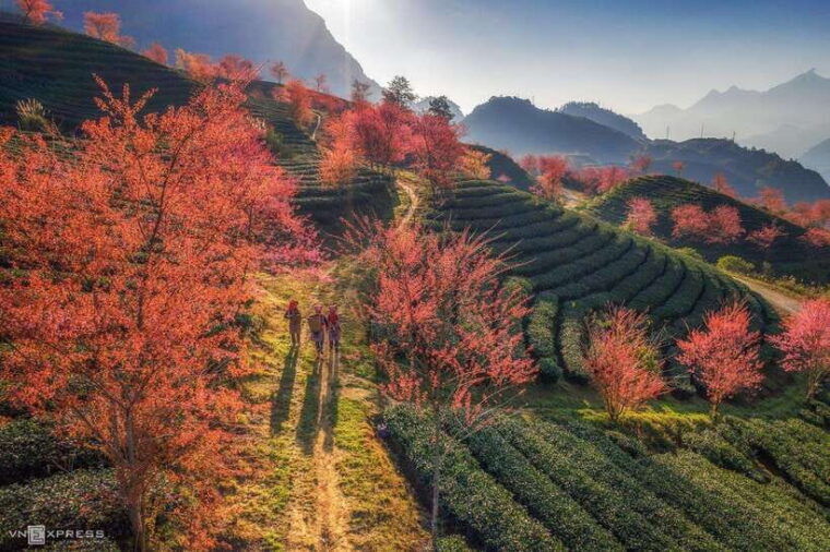 from-hanoi-3-day-sapa-trekking-sleep-at-hotel-homestay