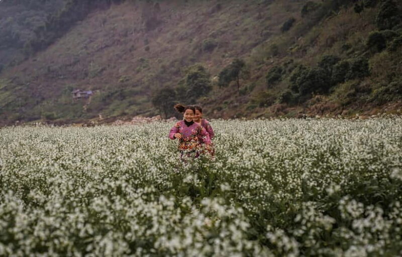 From Hanoi: 4-Day Moc Chau Tea Plantation and Waterfall Tour - FAQ