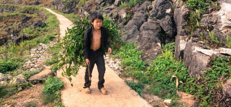 from-hanoi-4-day-panorama-of-ha-giang-loop-private-tour